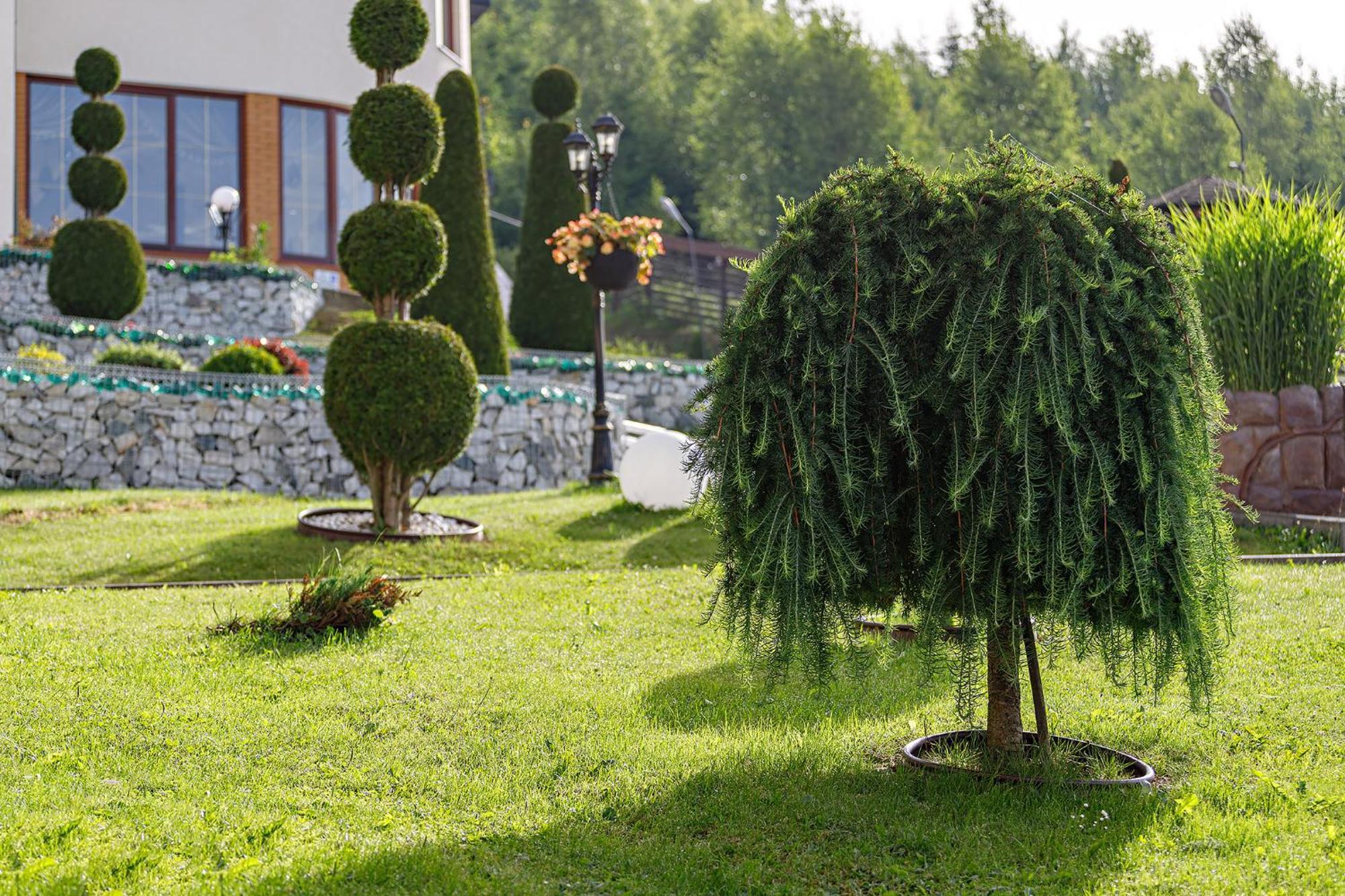 Hotel Podgorie Spa Bukovel Luaran gambar